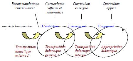 Curriculum5